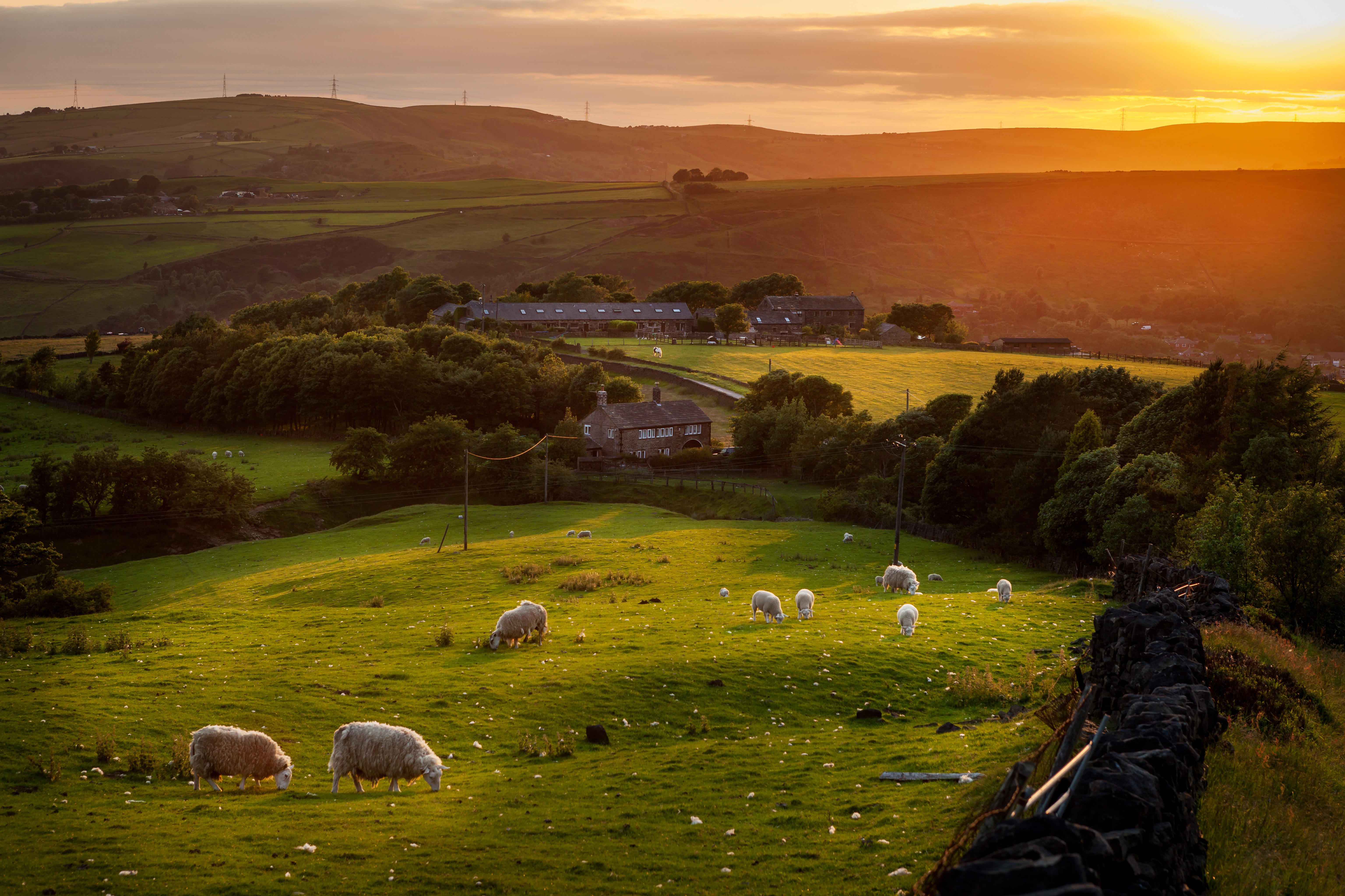 Farms in england. Шотландия Йоркшир. Поля Англии Йоркшир. Йоркшир Англия ферма. Шотландия деревня Милтон.